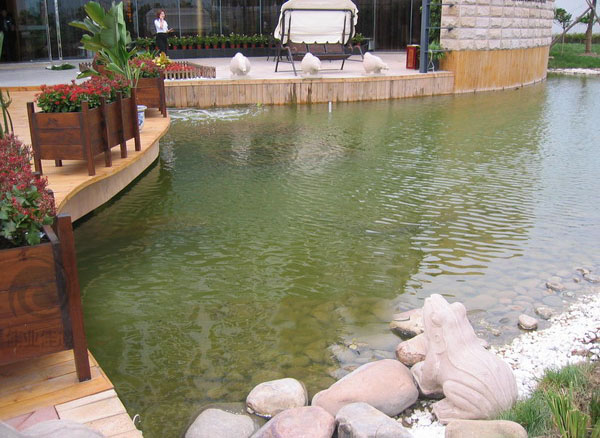 使用鱼池生态净化系统的景观鱼池图片