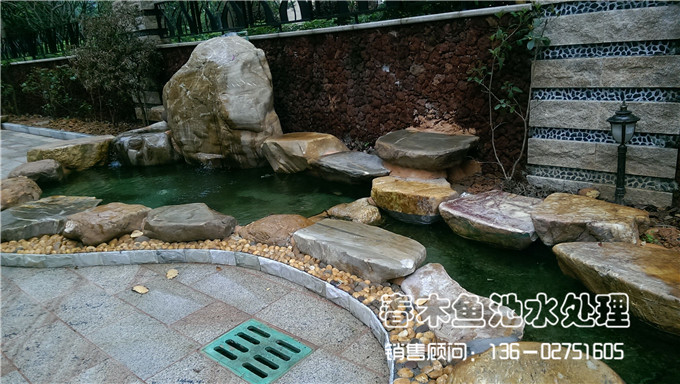 庭院鱼池水质处理效果图片3