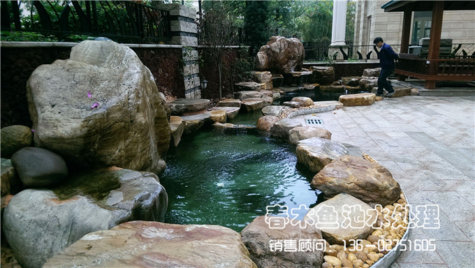 别墅庭院鱼池水处理系统案例图片