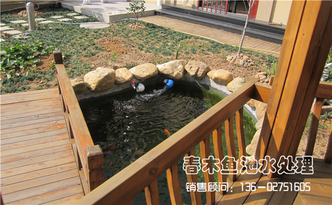 广州别墅花园鱼池设计案例图片2