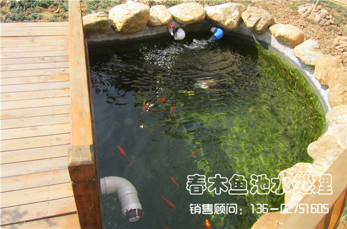 广州别墅花园鱼池设计案例图片3