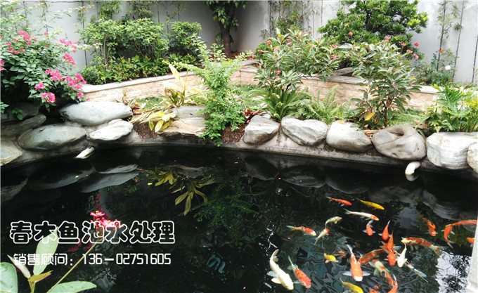 别墅庭院鱼池图片