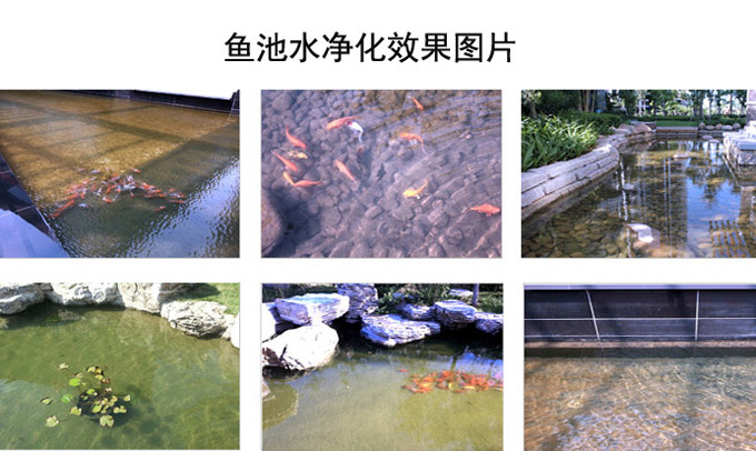 景观水景净化设计水处理效果图