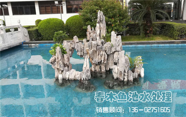 广州天河区公司鱼池假山制件完成图片