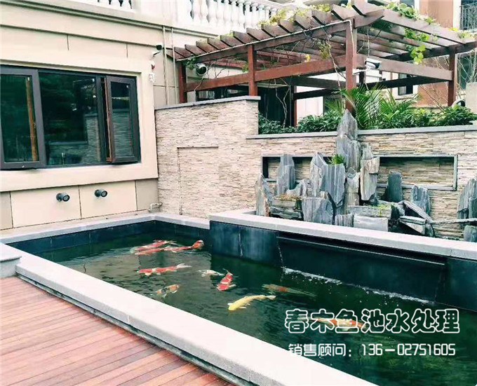 最简单庭院自制小鱼池