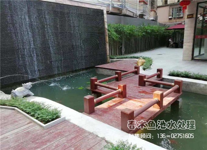 广州景观鱼池设计效果图