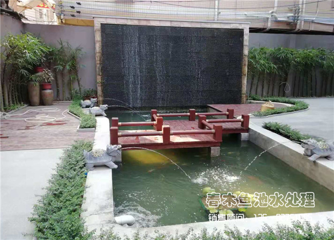 广州景观鱼池效果图