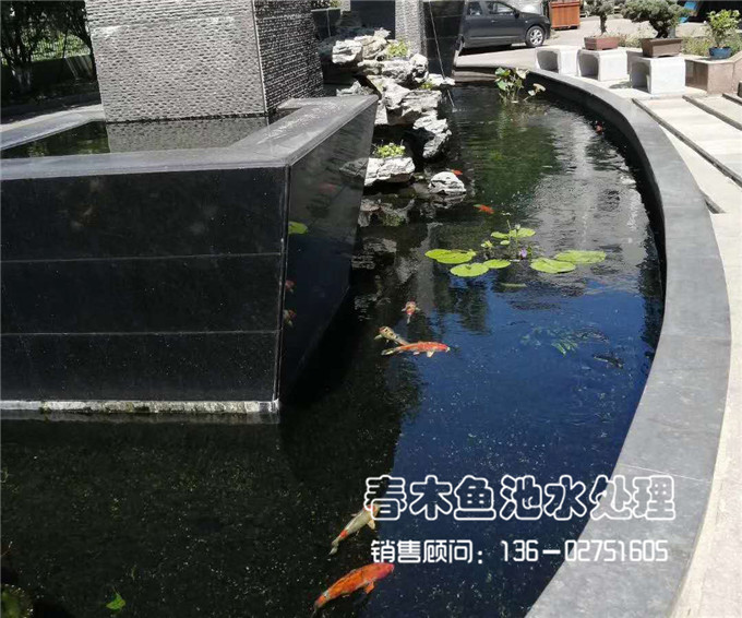 浙江公司景观鱼池水质处理改造方案