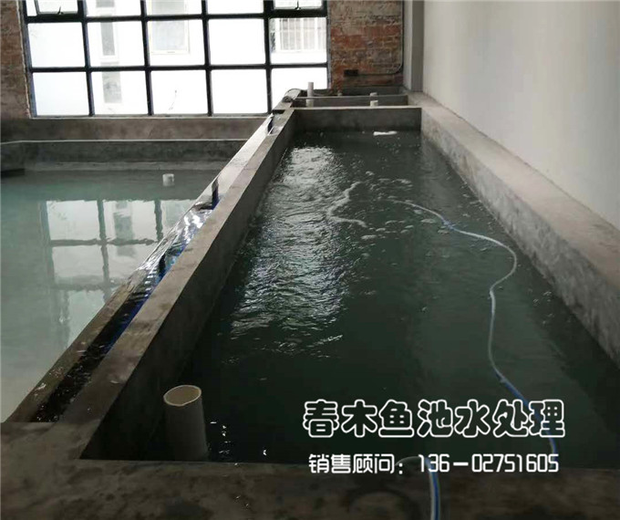 广州萝岗区鱼池龟池设计案例