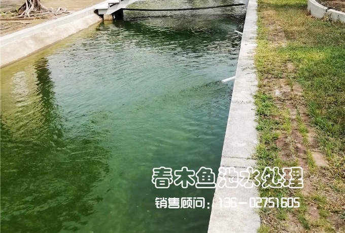 佛山顺德陈村某公司鱼池改造案例图片8