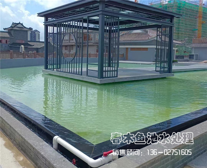 景观鱼池水净化系统设计方案