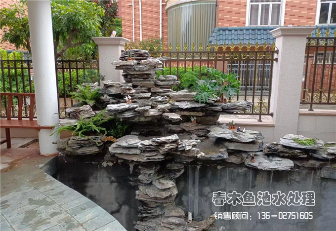 广州南沙区庭院鱼池假山的建造图片5