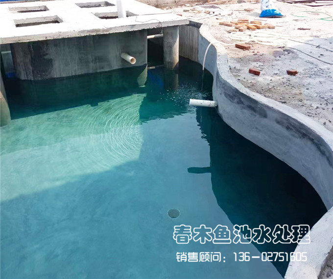 广州别墅庭院鱼池水循环过滤系统设计图3
