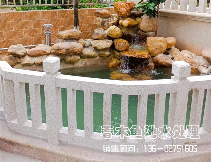 佛山三水区别墅庭院鱼池水净化系统设计图片4