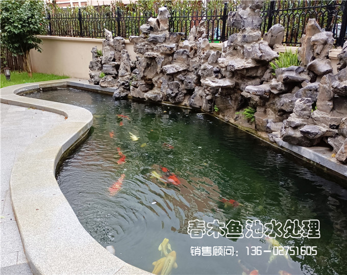 武汉家庭庭院鱼池假山建造图片3