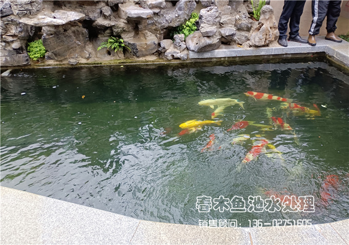武汉家庭庭院鱼池假山建造图片5
