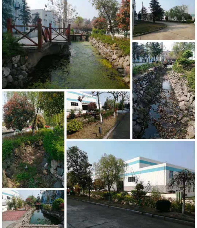 湖南公司景观鱼池改造案例图片1