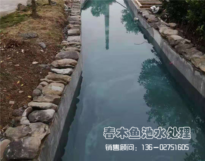 湖南公司景观鱼池改造案例