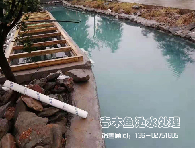 湖南公司景观鱼池改造案例图片5
