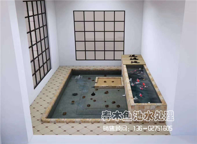 广州室内龟池+鱼池设计案例图片1