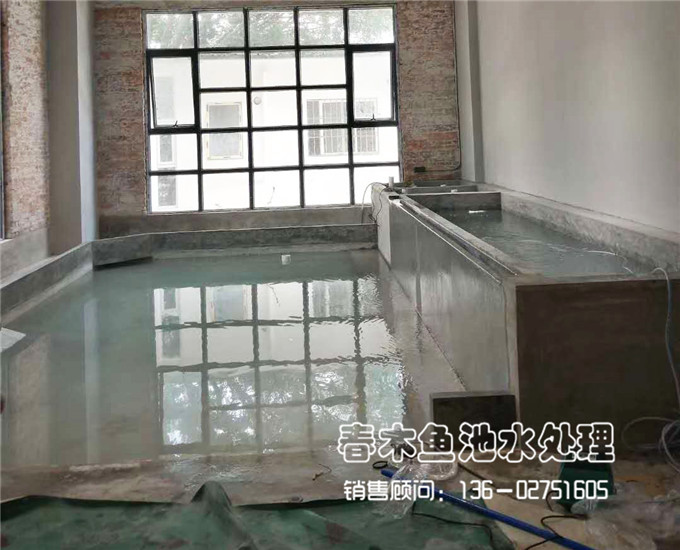 广州室内龟池+鱼池设计案例图片3