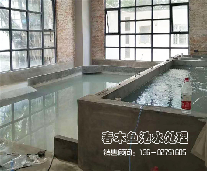 广州室内龟池+鱼池设计案例