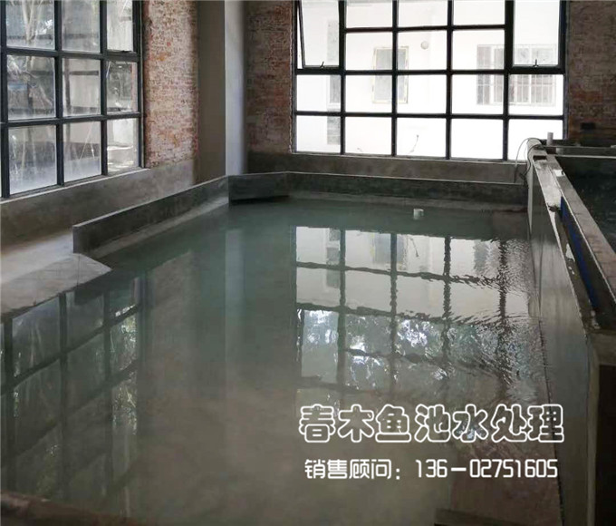 广州室内龟池+鱼池设计案例图片5
